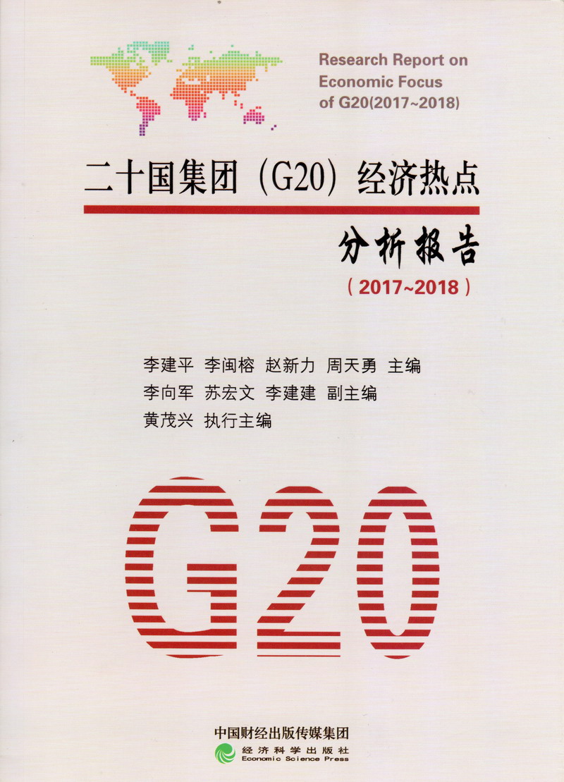 久久小嫩逼二十国集团（G20）经济热点分析报告（2017-2018）