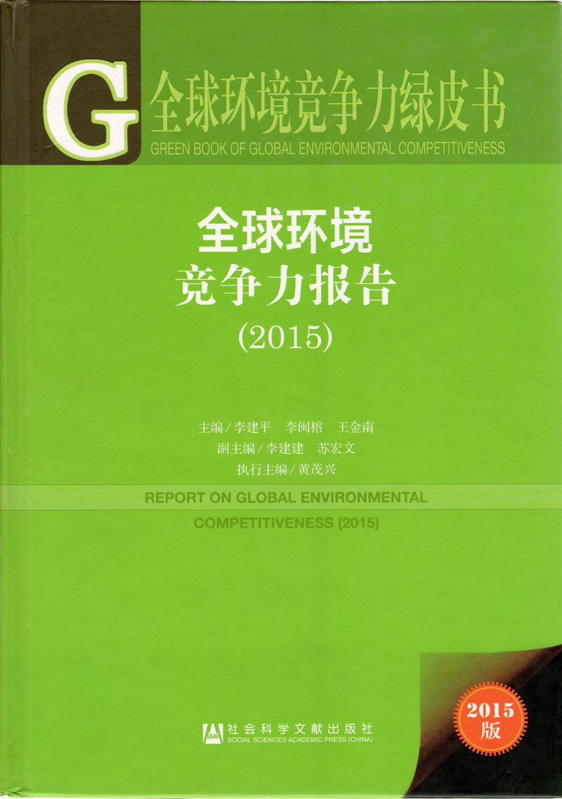 污污的网站免费在线观看啊啊爽大鸡巴全球环境竞争力报告（2017）